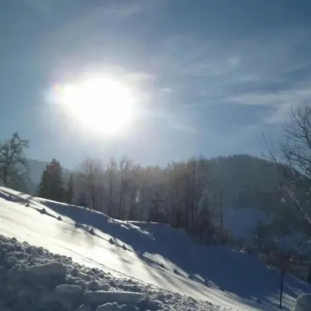 Guest house Haus Voegel Sibratsgfall