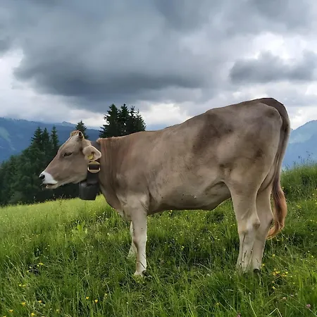 Guest house Haus Voegel